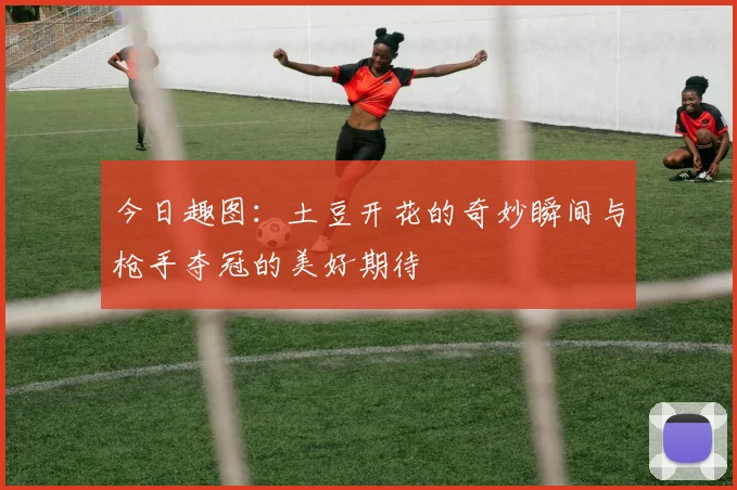 今日趣图：土豆开花的奇妙瞬间与枪手夺冠的美好期待