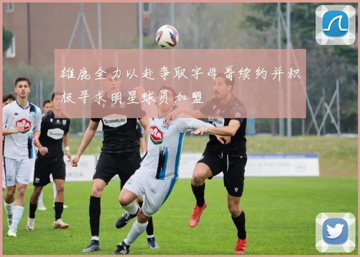 雄鹿全力以赴争取字母哥续约并积极寻求明星球员加盟