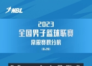 开云体育-河南主场胜陕西取得季后赛入场券