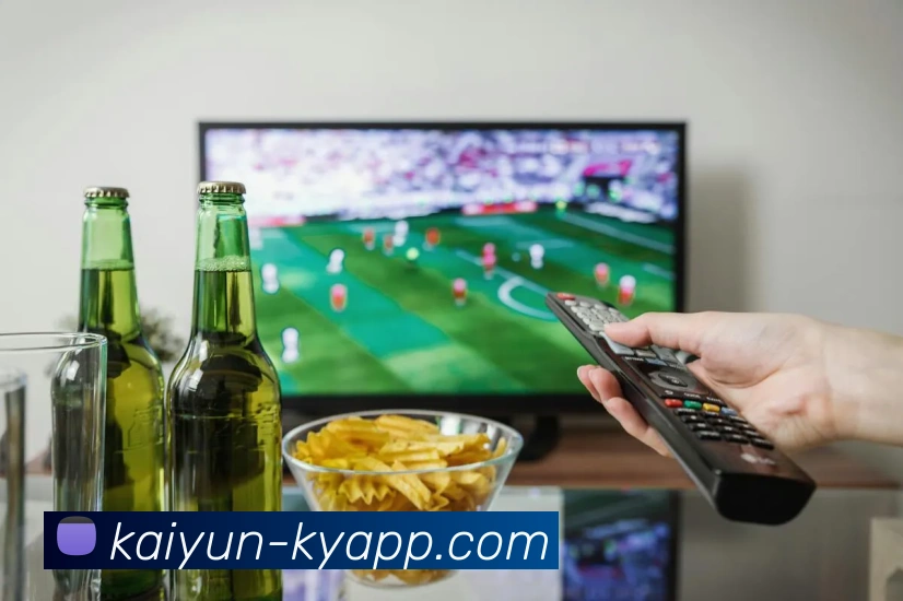 App Interface Preview