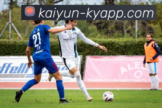 开云体育APP 封面图