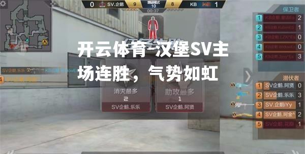 汉堡SV主场连胜，气势如虹