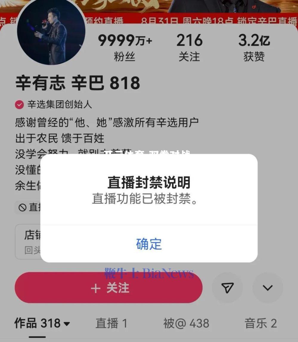 双拳对战，胜者为王谁将夺冠